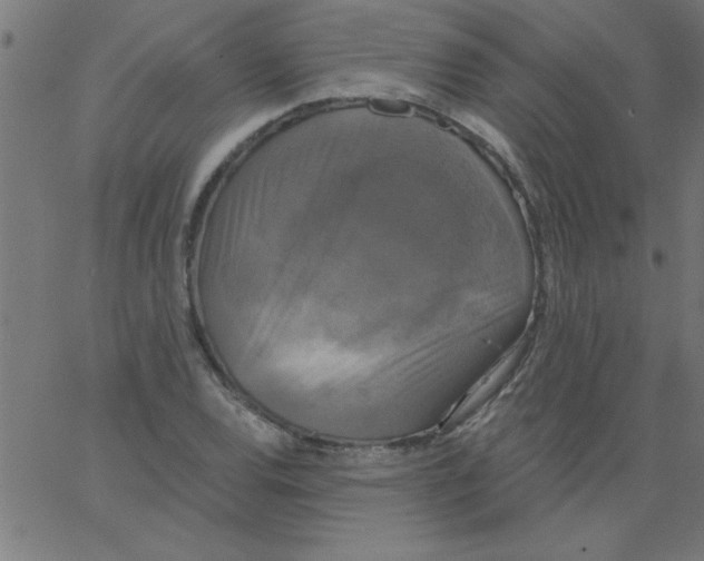 X0000067391120200604281835