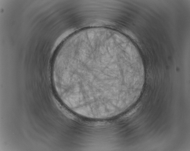 X0000067391122200604281835