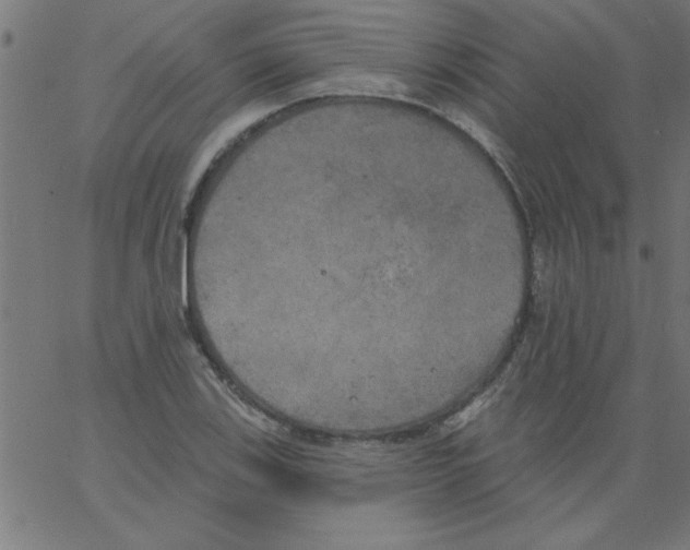 X0000067391123200604281835