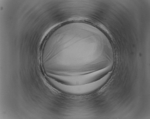 X0000067391124200604281835