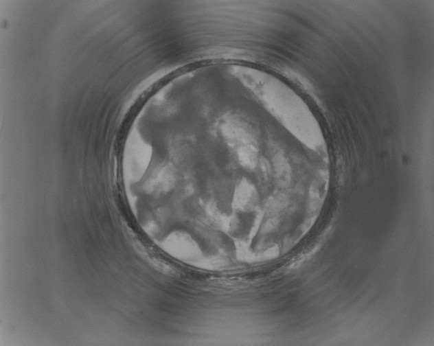 X0000067391125200604281835