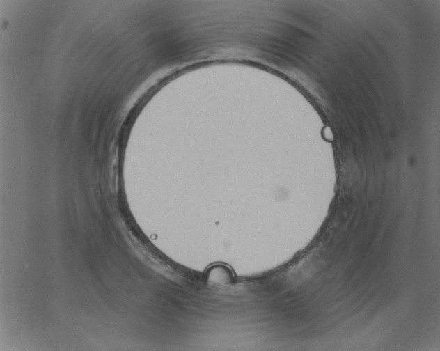 X0000067391126200604281835