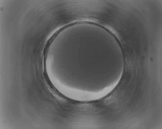 X0000067391127200604281835