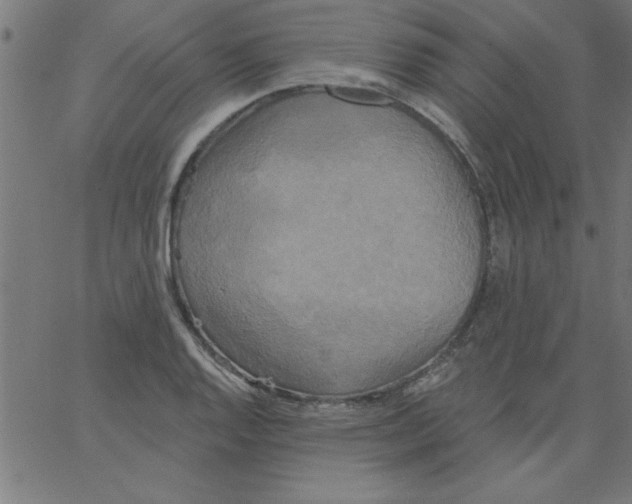 X0000067391128200604281835