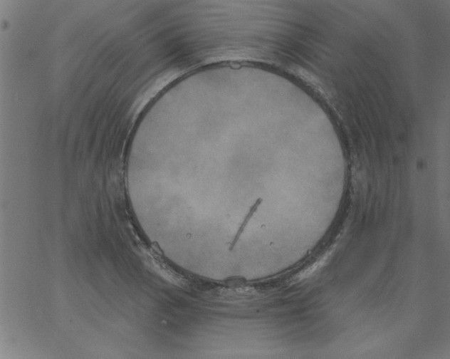 X0000067391129200604281835