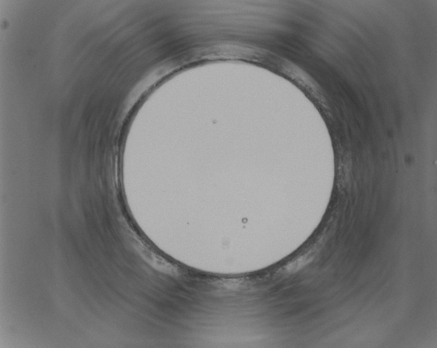 X0000067391130200604281835