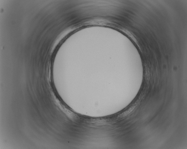 X0000067391131200604281835