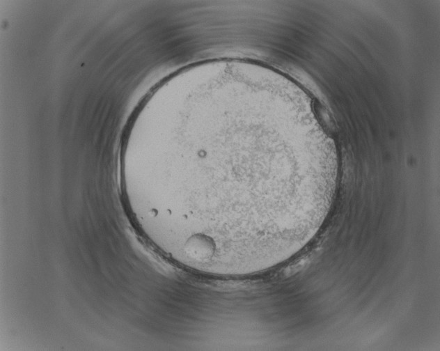 X0000067391132200604281835