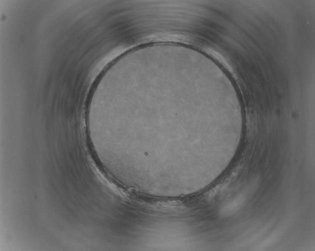 X0000067391133200604281835