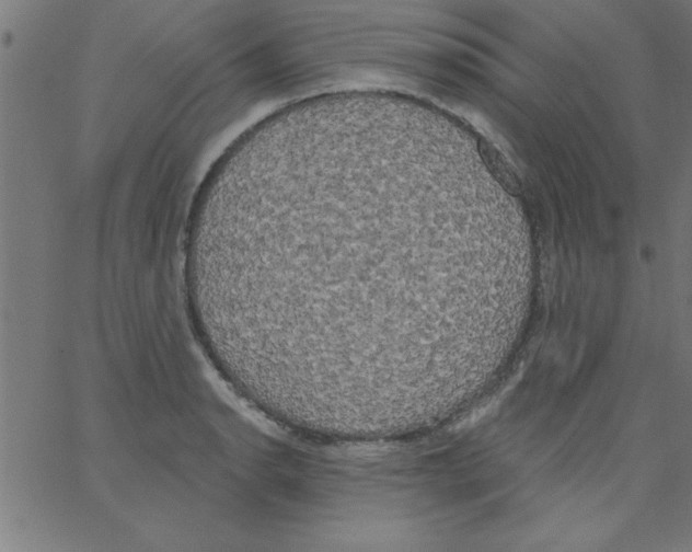 X0000067391134200604281835