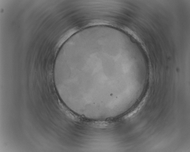 X0000067391137200604281835