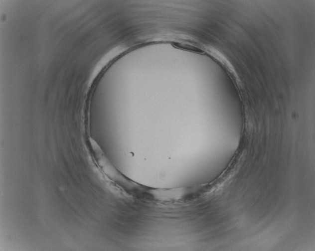 X0000067391138200604281835