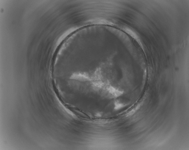 X0000067391141200604281835