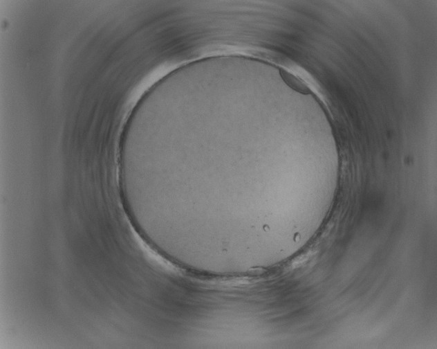 X0000067391143200604281835