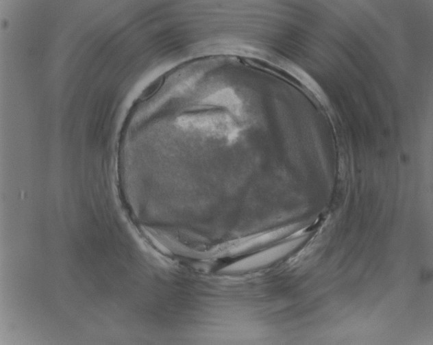 X0000067391144200604281835