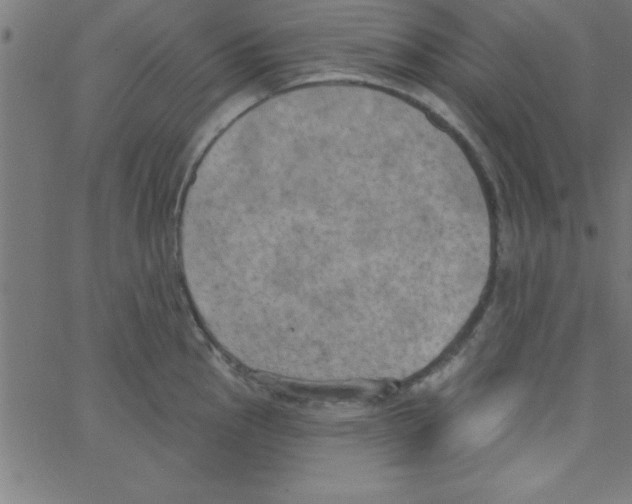 X0000067391145200604281836