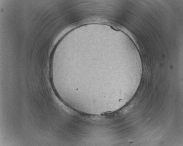 X0000067391147200604281836