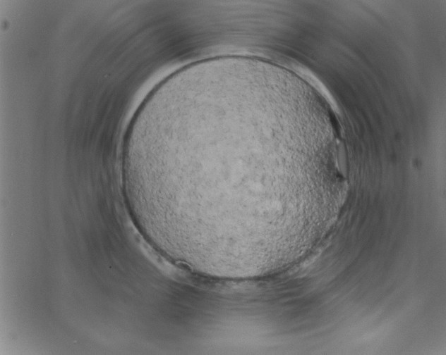 X0000067391148200604281836