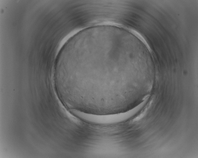 X0000067391149200604281836