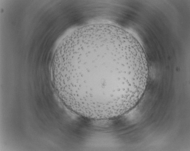 X0000067391150200604281836