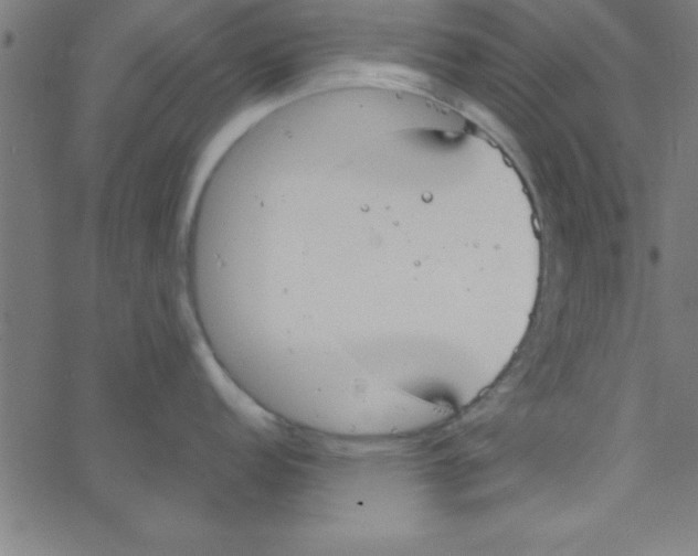 X0000067391152200604281836