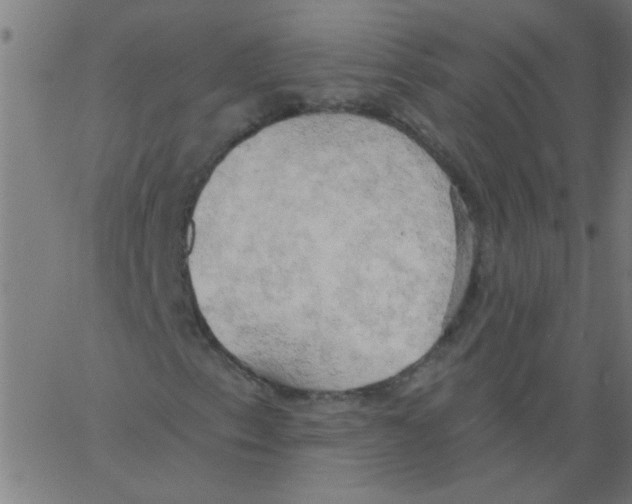 X0000067391153200604281835