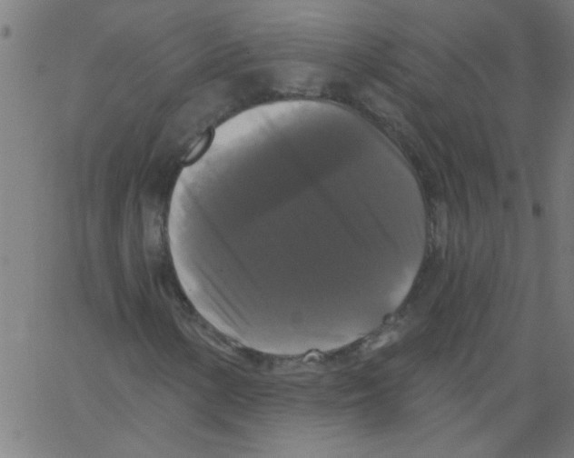 X0000067391154200604281835