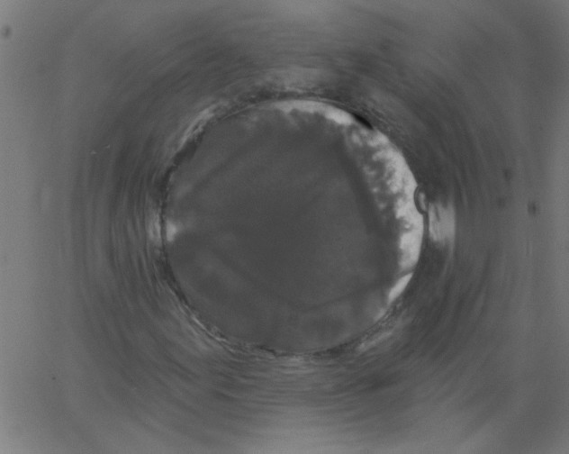 X0000067391155200604281835