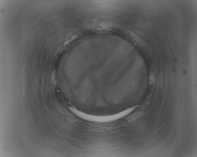 X0000067391156200604281835