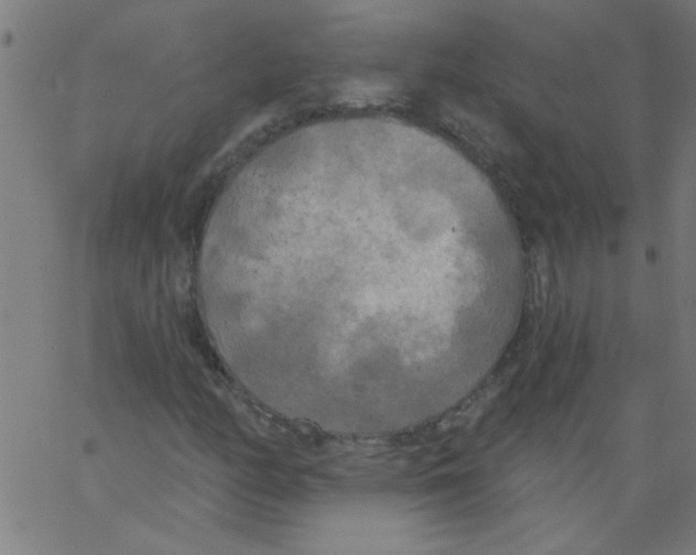 X0000067391158200604281835