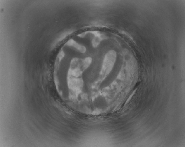 X0000067391159200604281835