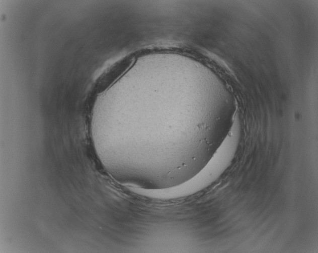 X0000067391160200604281835