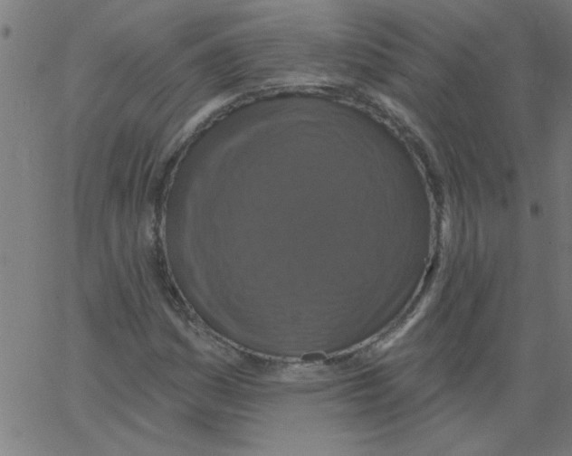 X0000067391161200604281835