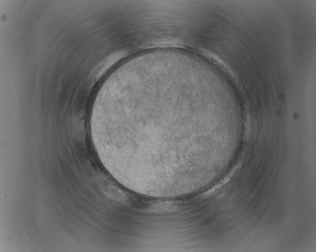 X0000067391162200604281835