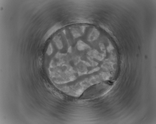 X0000067391163200604281835