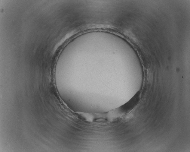 X0000067391165200604281835