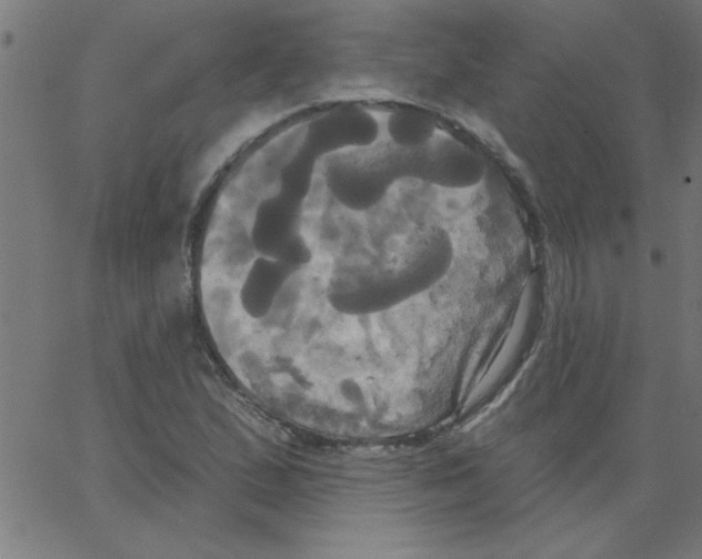 X0000067391167200604281835