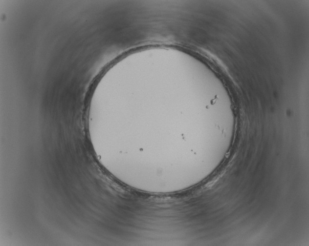 X0000067391168200604281835