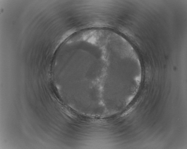 X0000067391170200604281835