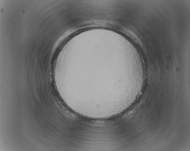 X0000067391172200604281835