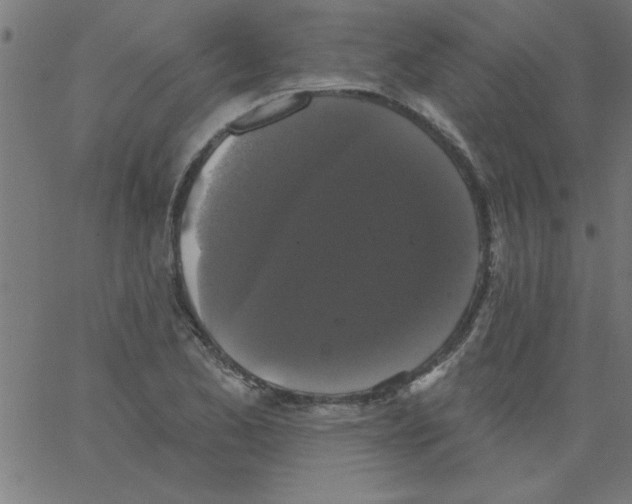 X0000067391173200604281835