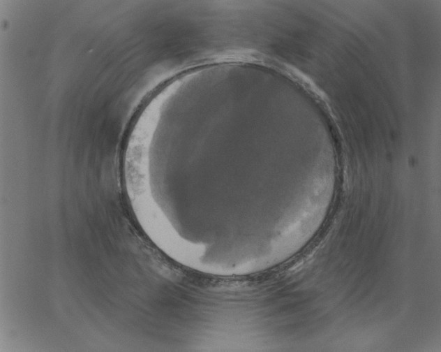 X0000067391174200604281834