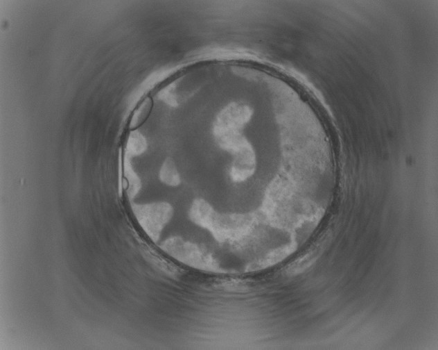 X0000067391175200604281834