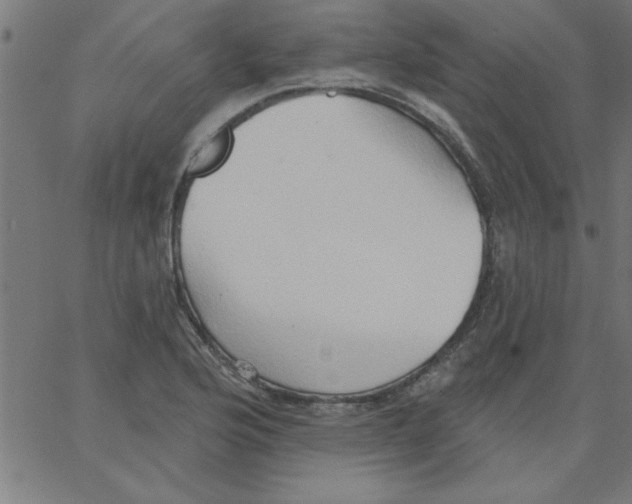 X0000067391176200604281834