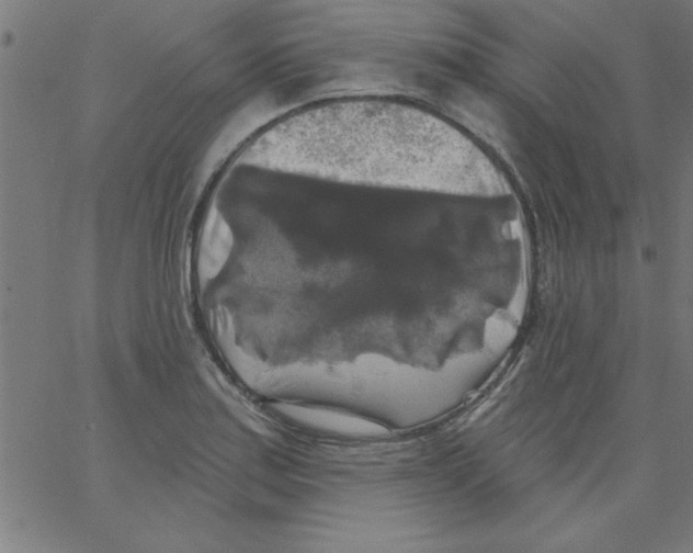 X0000067391179200604281834