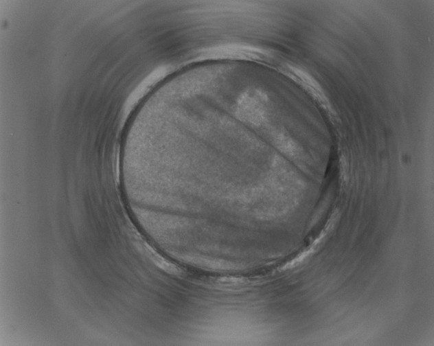 X0000067391180200604281834