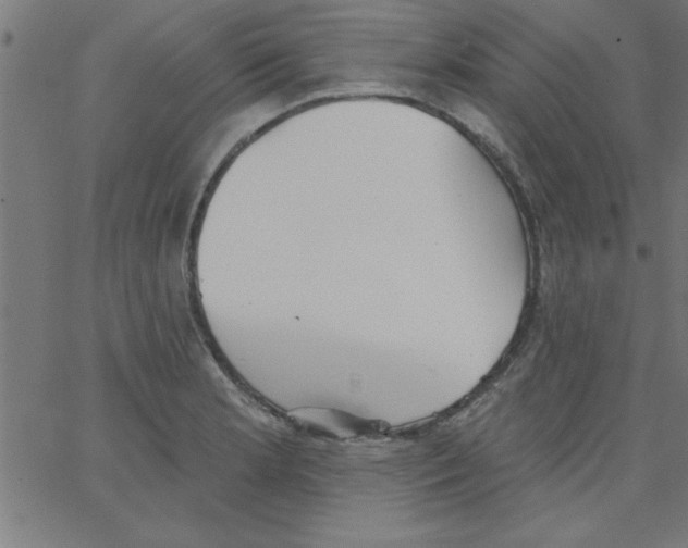 X0000067391181200604281834