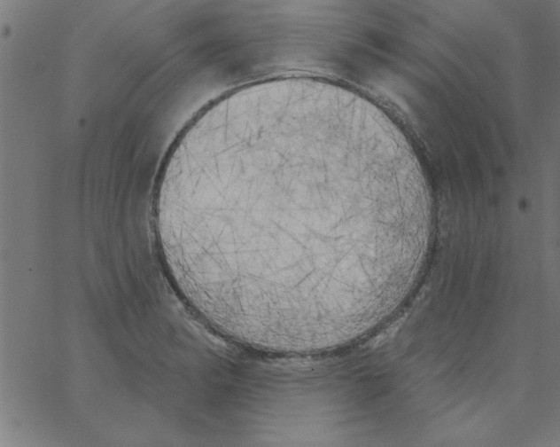 X0000067391182200604281834