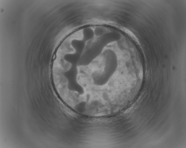 X0000067391183200604281834