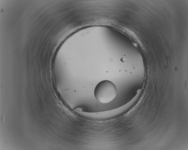 X0000067391184200604281834